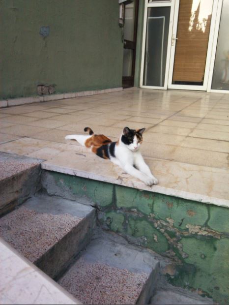 Name:  ks3.JPG
Views: 231
Size:  48.4 KB