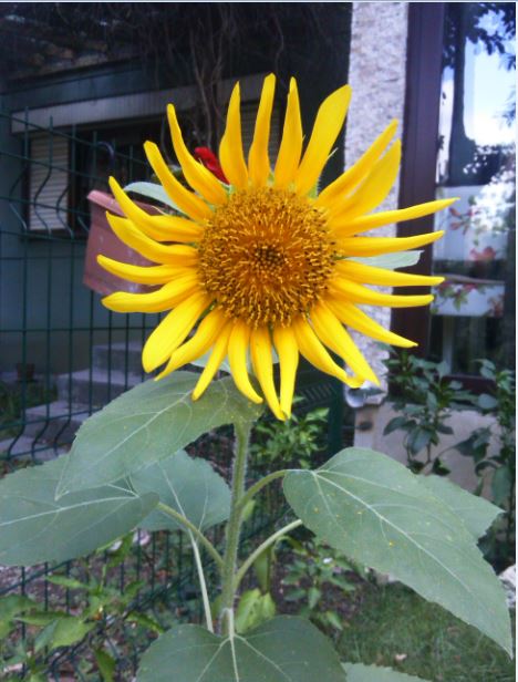 Name:  ro2.JPG
Views: 215
Size:  62.2 KB
