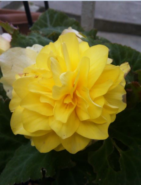 Name:  ge6.JPG
Views: 223
Size:  33.8 KB