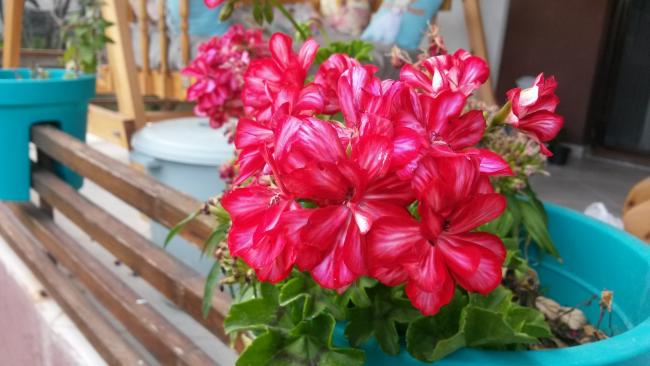 Name:  20160614_151118.jpg
Views: 336
Size:  39.2 KB