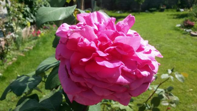 Name:  20160604_154111.jpg
Views: 573
Size:  38.5 KB