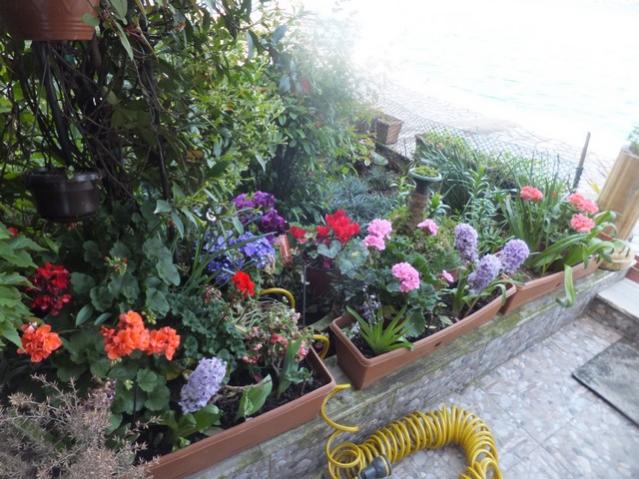 Name:  DSCF7205.jpg
Views: 232
Size:  61.8 KB