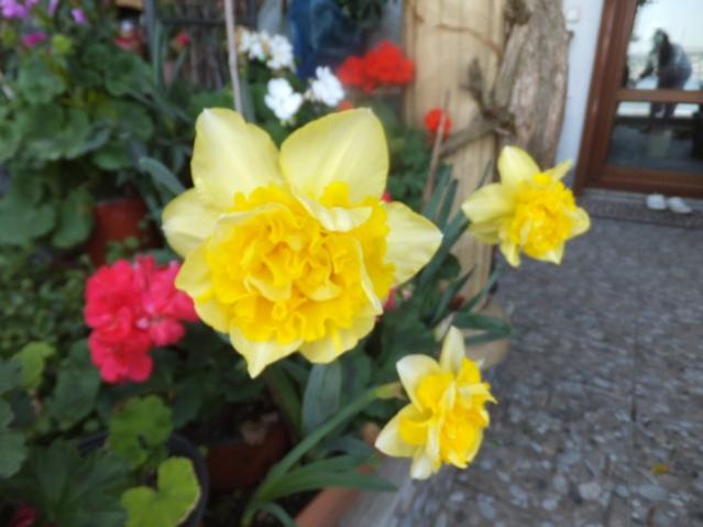 Name:  DSCF7211.jpg
Views: 226
Size:  35.6 KB