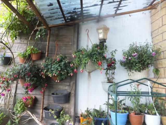 Name:  DSCF7871.jpg
Views: 210
Size:  59.4 KB