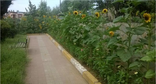 Name:  ayiei 20.07.2016.jpg
Views: 403
Size:  41.4 KB