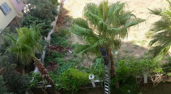 Name:  13620867_10154463361269040_6086796100100111314_n.jpg
Views: 386
Size:  57.4 KB