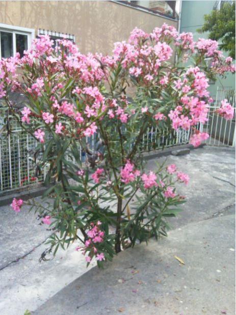 Name:  za2.jpg
Views: 211
Size:  60.2 KB