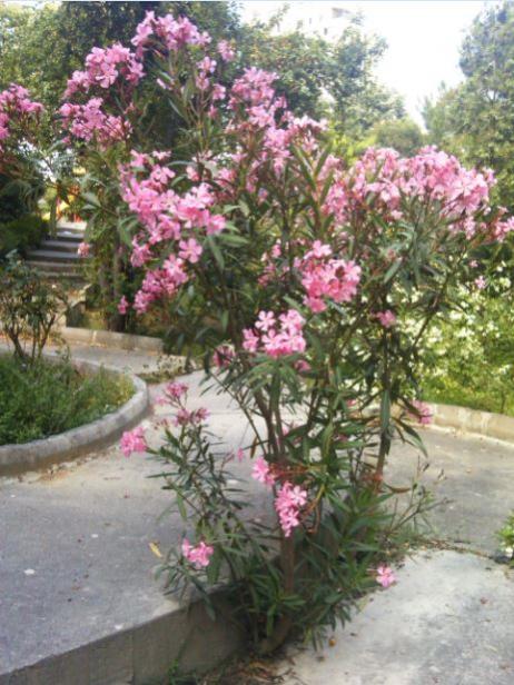 Name:  za3.jpg
Views: 209
Size:  61.7 KB