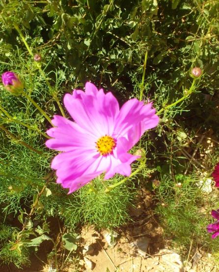Name:  033.jpg
Views: 683
Size:  73.7 KB
