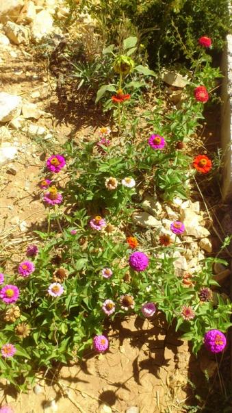 Name:  041.jpg
Views: 643
Size:  66.1 KB