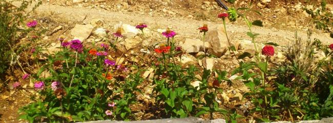 Name:  063.jpg
Views: 675
Size:  53.0 KB