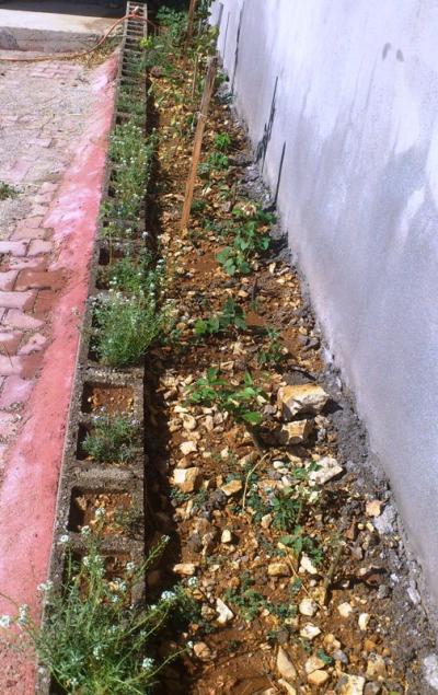 Name:  061.jpg
Views: 658
Size:  66.0 KB