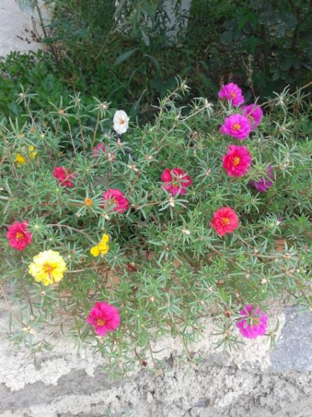 Name:  20160808_115004.jpg
Views: 234
Size:  66.2 KB