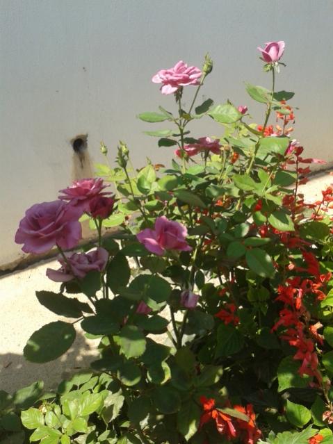Name:  20160808_115312.jpg
Views: 233
Size:  49.4 KB