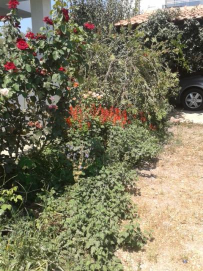Name:  20160808_115505.jpg
Views: 229
Size:  68.5 KB