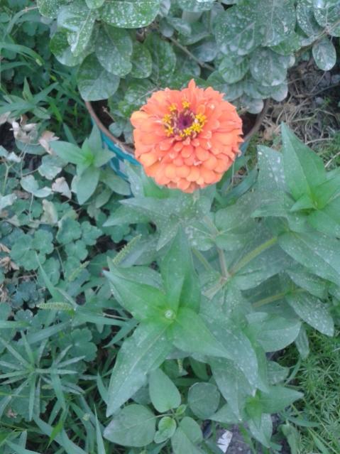 Name:  20160808_115111.jpg
Views: 232
Size:  53.4 KB