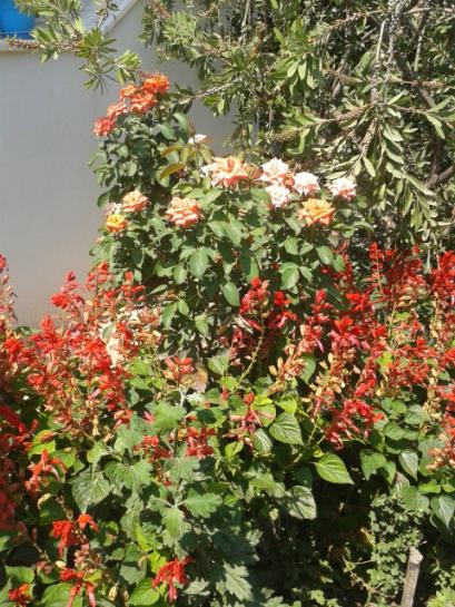 Name:  20160808_115253.jpg
Views: 231
Size:  68.4 KB