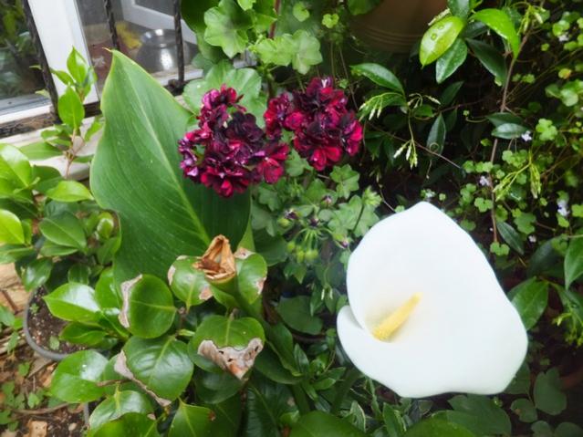 Name:  DSCF8823.jpg
Views: 315
Size:  55.9 KB