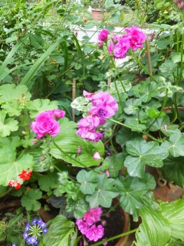 Name:  DSCF8846.jpg
Views: 311
Size:  43.2 KB