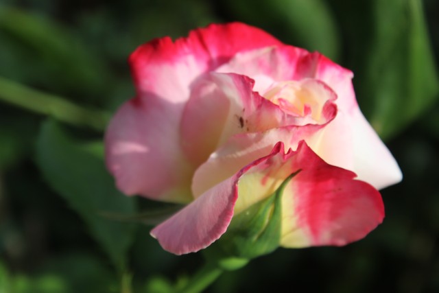 Name:  IMG_3948.jpg
Views: 206
Size:  54.1 KB