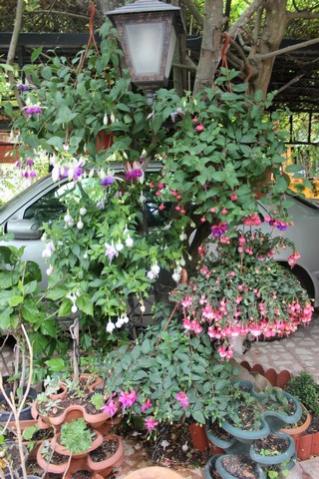 Name:  IMG_3663.jpg
Views: 557
Size:  43.3 KB