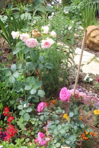 Name:  IMG_3582.jpg
Views: 490
Size:  41.8 KB