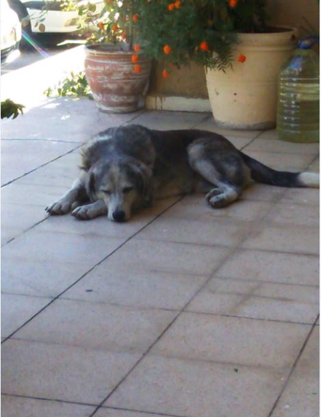 Name:  kes1.JPG
Views: 443
Size:  43.6 KB