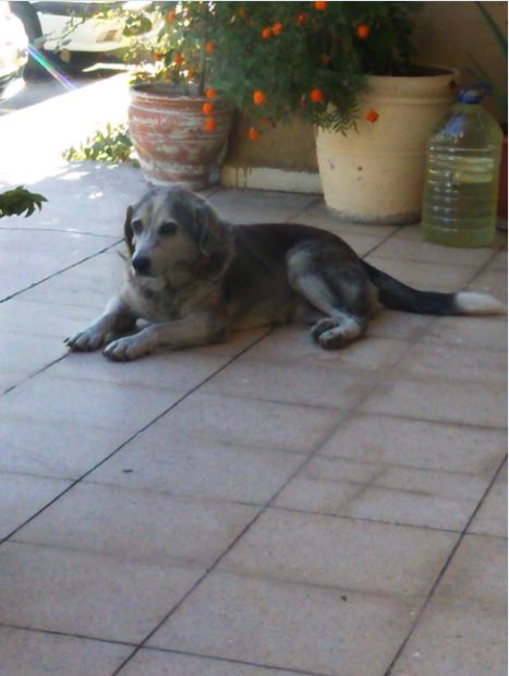 Name:  kes2.JPG
Views: 459
Size:  43.3 KB