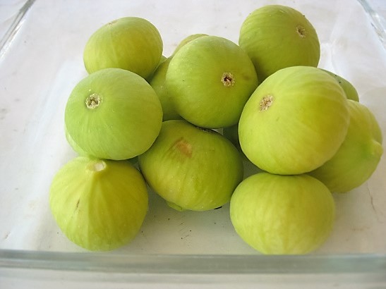 Name:  beyaz incir1.jpg
Views: 607
Size:  62.8 KB