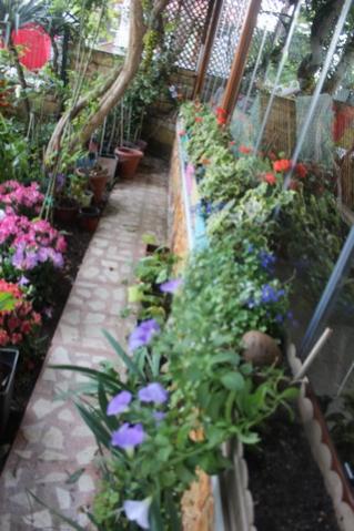 Name:  IMG_4036.jpg
Views: 447
Size:  33.5 KB