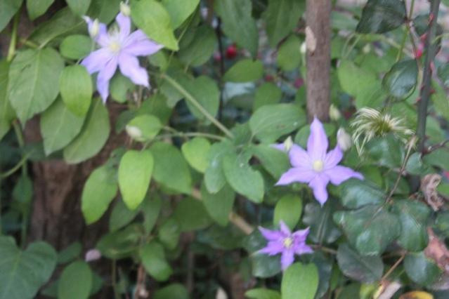 Name:  IMG_4000.jpg
Views: 407
Size:  33.8 KB