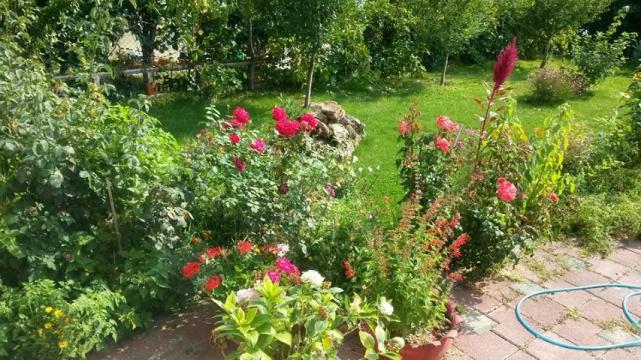 Name:  14064140_10154482026503415_805958449573901866_n (Small).jpg
Views: 649
Size:  70.7 KB