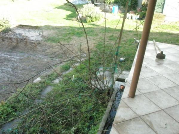 Name:  P2120241 (600 x 450).jpg
Views: 1099
Size:  47.0 KB