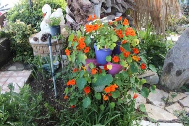 Name:  IMG_4017.jpg
Views: 323
Size:  64.4 KB