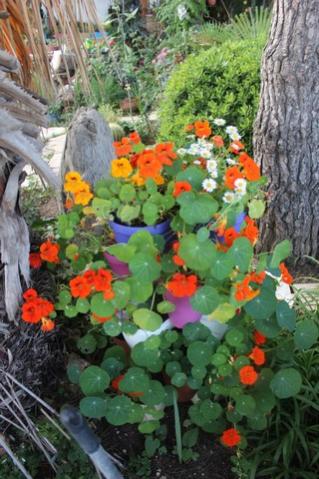 Name:  IMG_4018.jpg
Views: 299
Size:  37.9 KB
