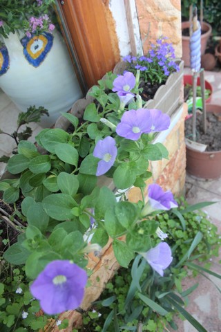 Name:  IMG_4045.jpg
Views: 288
Size:  69.9 KB