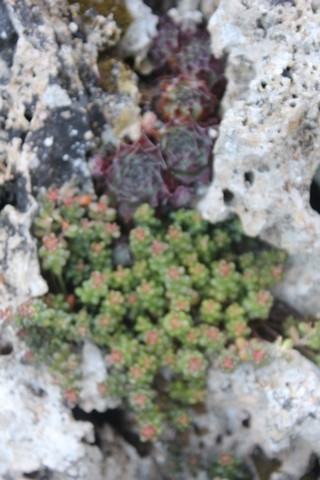 Name:  IMG_4177.jpg
Views: 297
Size:  68.8 KB
