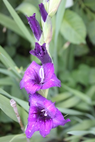 Name:  IMG_4938.jpg
Views: 256
Size:  57.5 KB