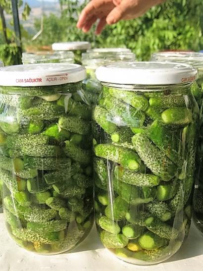 Name:  salatalk turu.jpg
Views: 492
Size:  52.0 KB