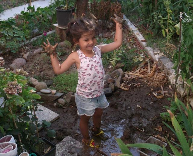 Name:  DSCF9625.jpg
Views: 593
Size:  70.0 KB