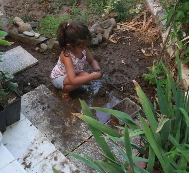 Name:  DSCF9627.jpg
Views: 570
Size:  70.7 KB