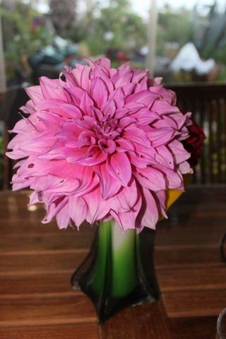 Name:  IMG_4644.jpg
Views: 278
Size:  61.4 KB