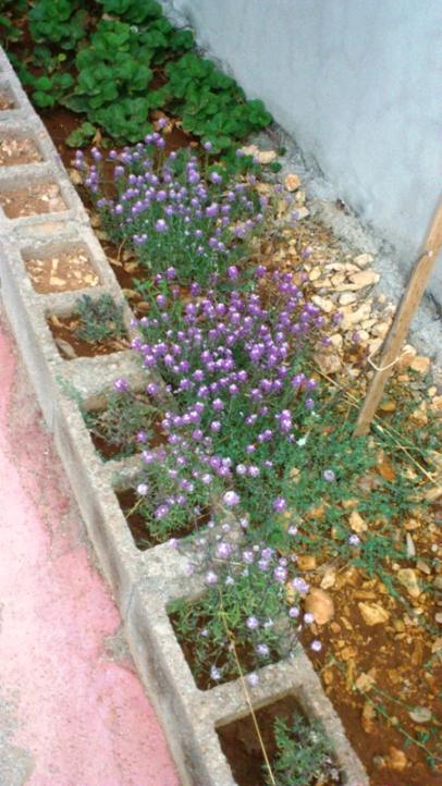 Name:  007.jpg
Views: 547
Size:  61.7 KB