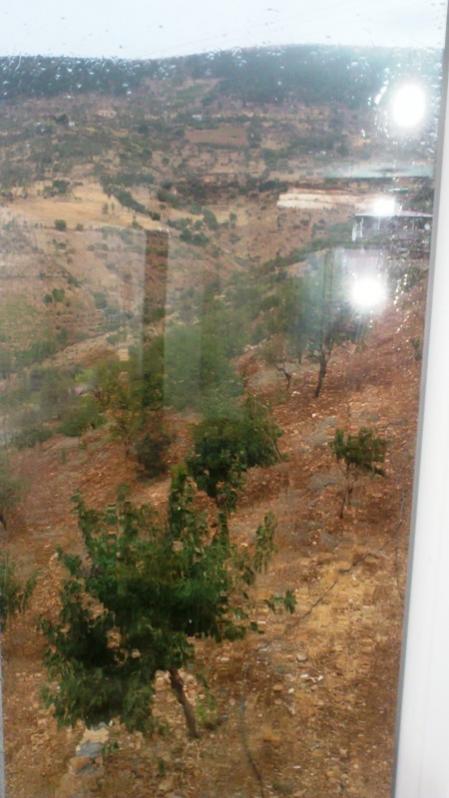 Name:  029.jpg
Views: 548
Size:  51.9 KB