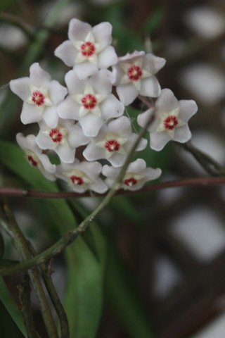 Name:  IMG_4832.jpg
Views: 251
Size:  47.2 KB