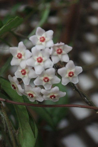 Name:  IMG_4833.jpg
Views: 253
Size:  46.7 KB