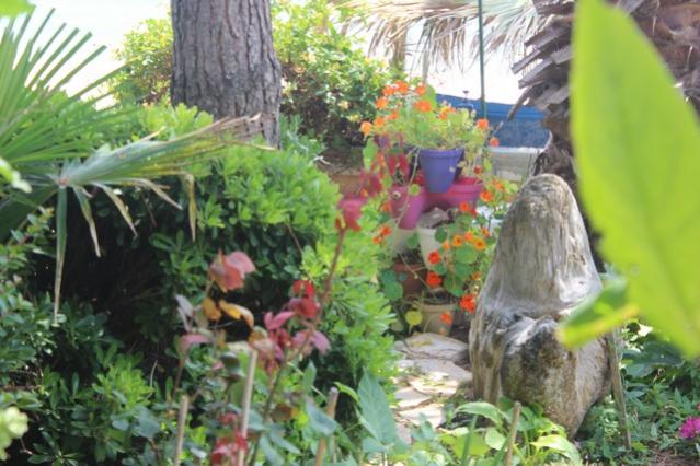 Name:  IMG_4369.jpg
Views: 266
Size:  54.5 KB