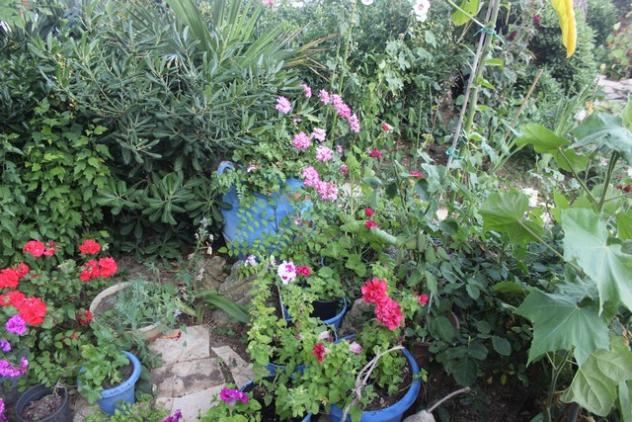 Name:  IMG_4729.jpg
Views: 260
Size:  70.5 KB