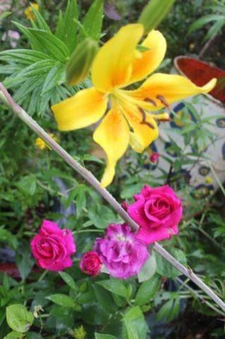 Name:  IMG_4613.jpg
Views: 249
Size:  29.3 KB