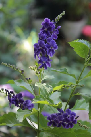 Name:  IMG_4687.jpg
Views: 234
Size:  60.6 KB